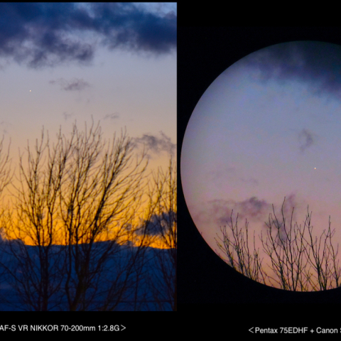 東方最大離角当日の水星（2023.12.04）