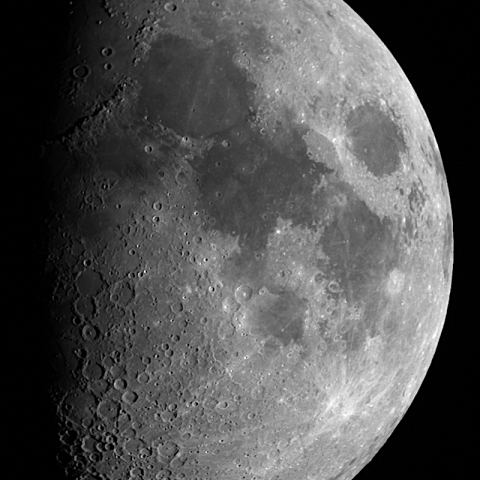 月齢8.0（2024.1.19）