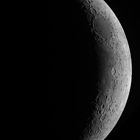 月齢3.6（2024.4.12）