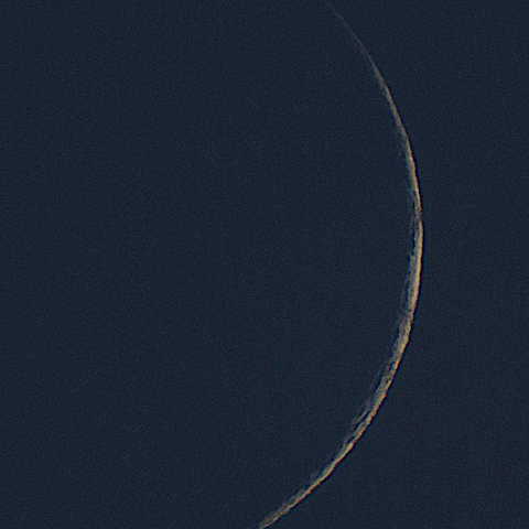 月齢1.3（2024.5.9）