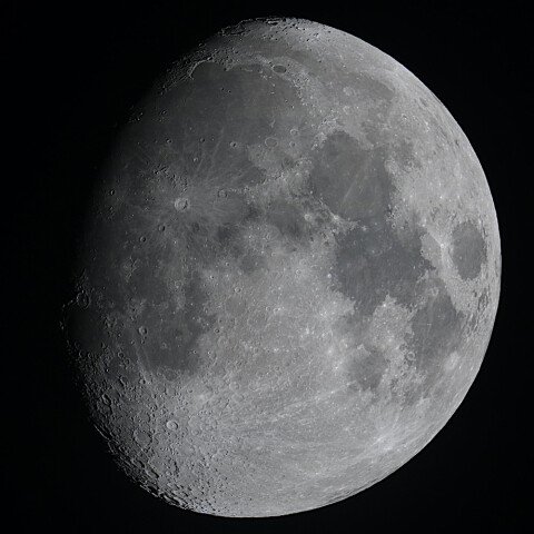 月齢11.4（2024.5.19）