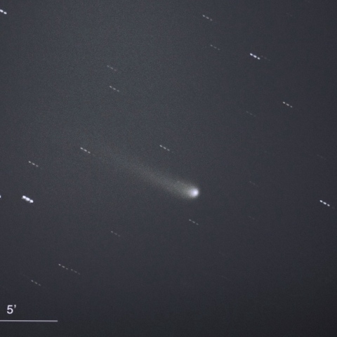 C/2023A3（Tsuchinshan-ATLAS）（2024.6.2）