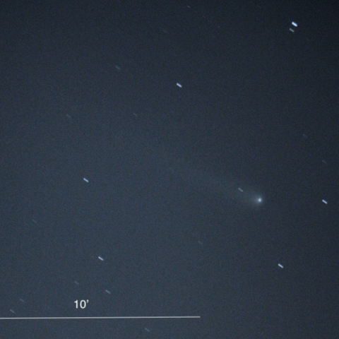 C/2023A3（Tsuchinshan-ATLAS）（2024.6.6）