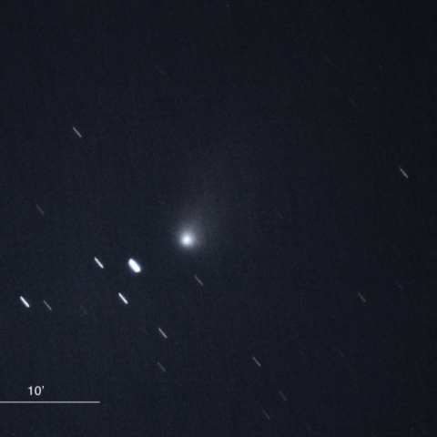 13P/Olbers（2024.8.11）