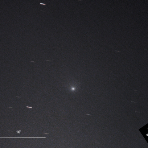 13P/Olbers（2024.9.8）