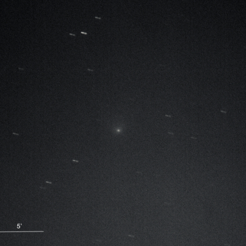 13P/Olbers（2024.9.23）