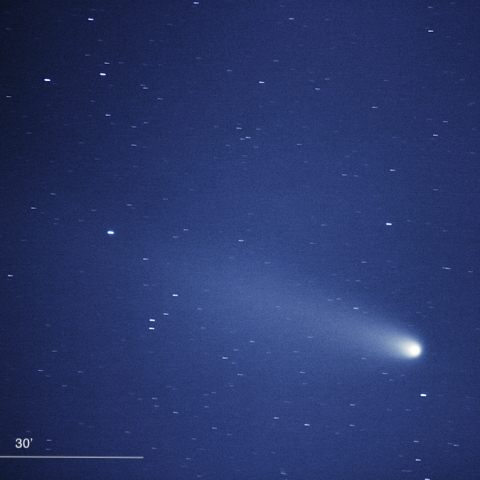 C/2023A3 紫金山・アトラス彗星（2024.10.24）