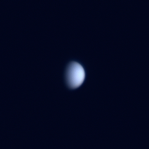 金星（2024.10.31）