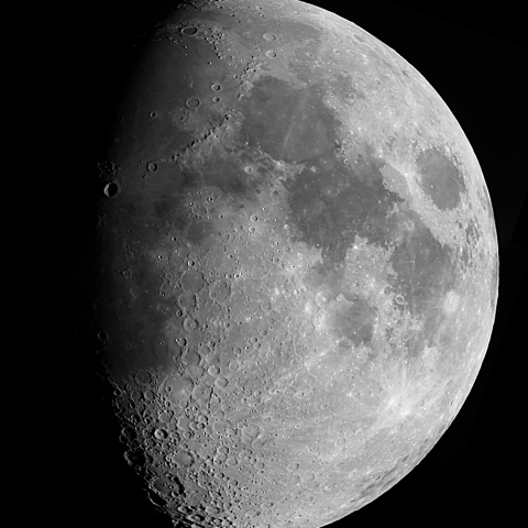 月齢９（2025.2.7）