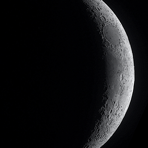 月齢3.4（2025.3.3）