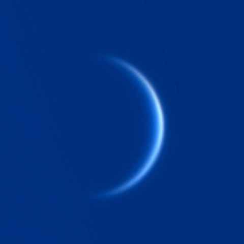 金星（2025.3.19）