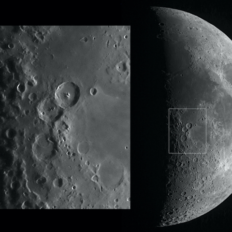 月齢5.9（2025.4.4）