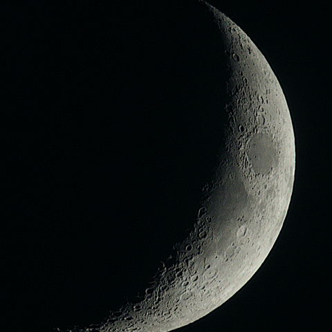 月齢4.3（2025.5.31）