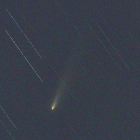 C/2025 K1アトラス彗星（2025.11.24）