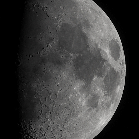 月齢９（2023.8.25）