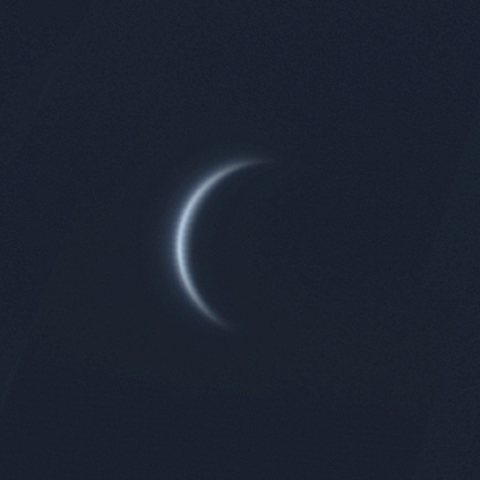 金星（2023.8.29）