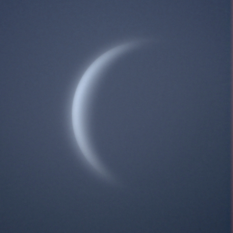 金星（2023.9.6）