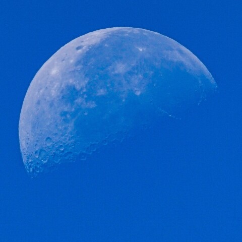 9/4月