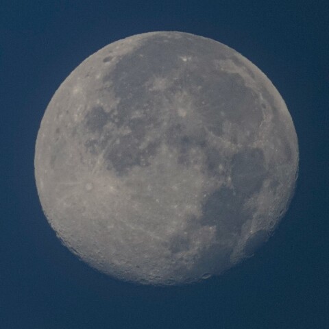 10/28月