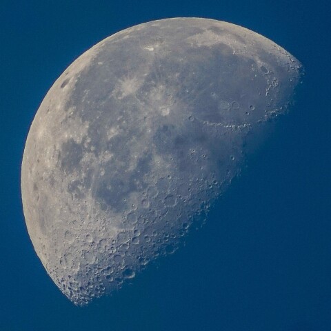 11/1月