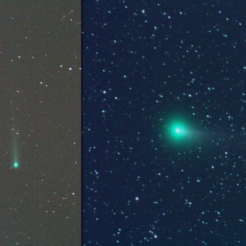 11月11日　2彗星比較