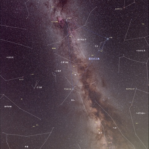 夏の星座線入 星雲入り 