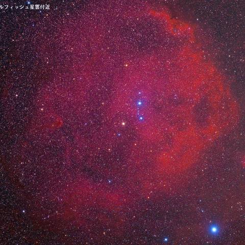 エンゼルフィッシュ星雲付近