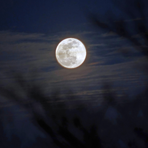 「　2/19　コペルニクス誕生夜の　スーパームーン　」