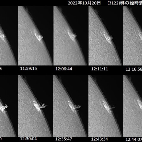 20221020の太陽_(3122)群の継時変化(Hα線画像)