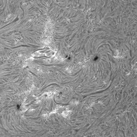 202312/6kの太陽(Hα線画像)