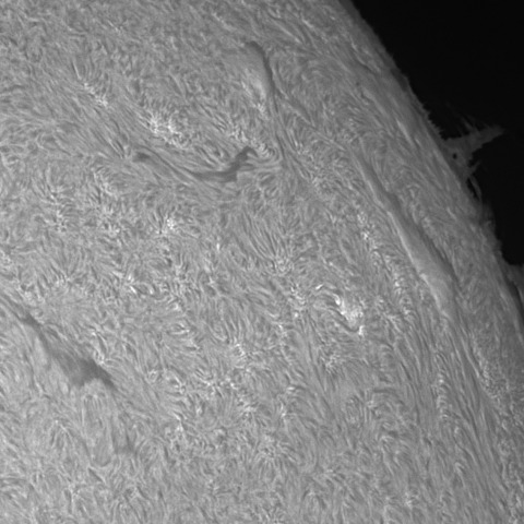 202312/6の太陽(Hα線画像)