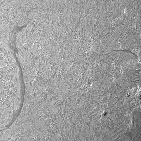 202312/10の太陽(Hα線画像)