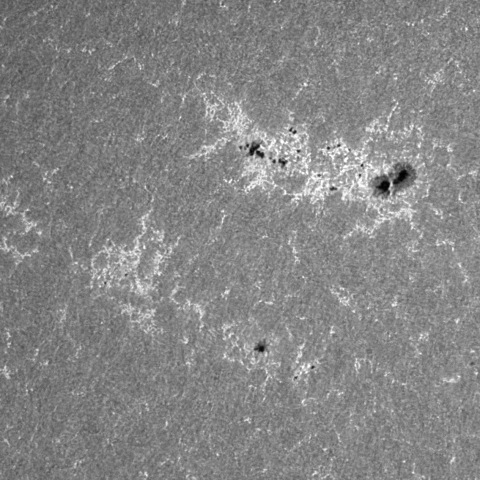 202312/10の太陽(CaK線画像)