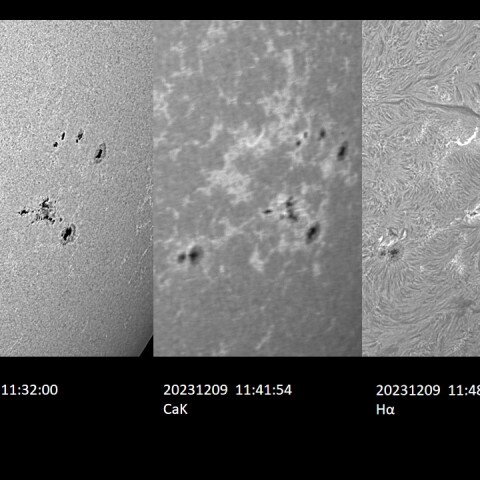 202312/09の太陽(Daylight/CaK/Hα画像)