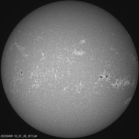 4/9の太陽　CaK光画像