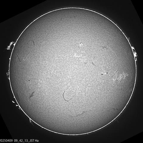 4/9の太陽　Hα光画像