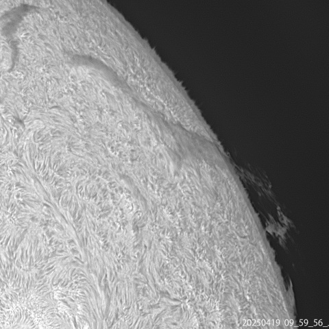 4/19の太陽 Hα光