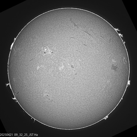 4/21の太陽 Hα光