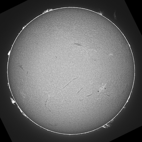 20230405の太陽　Hα線画像