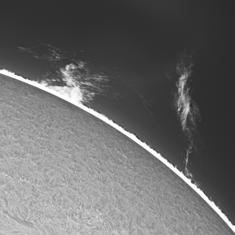 20230405の太陽　Hα線画像拡大_1