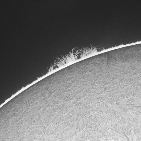 20230405の太陽　Hα線画像拡大_2