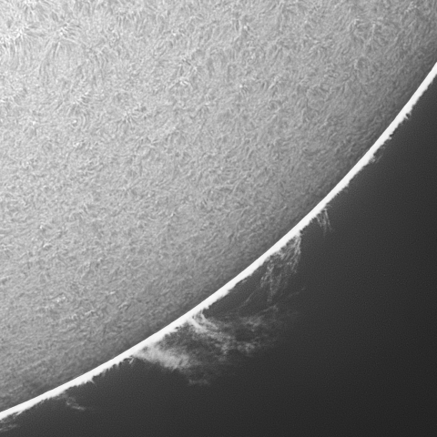 20230405の太陽　Hα線画像拡大_3