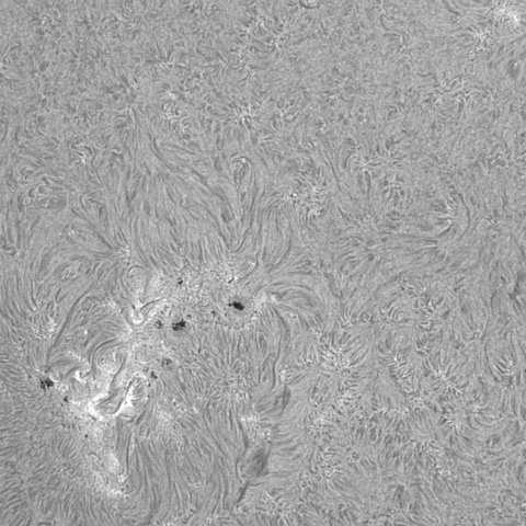 20230410の太陽　Hα線画像t拡大ろ1