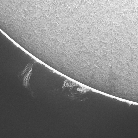 20230410の太陽　Hα線画像t拡大_2