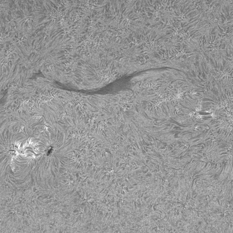 20230410の太陽　Hα線画像t拡大_3