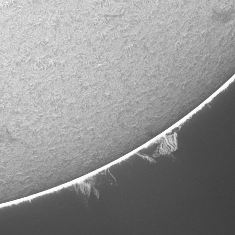 20230410の太陽　Hα線画像t拡大_4