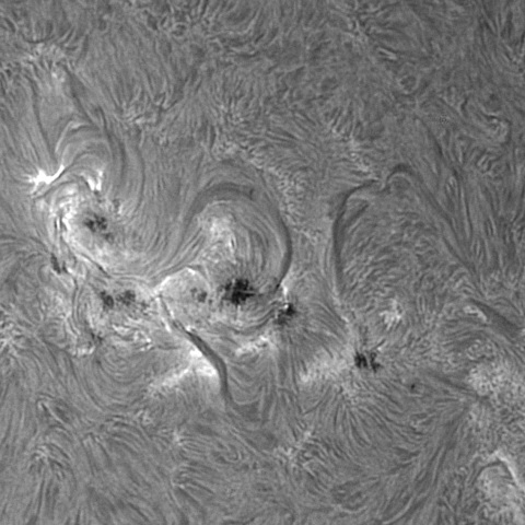 20230510の太陽　Hα線画像