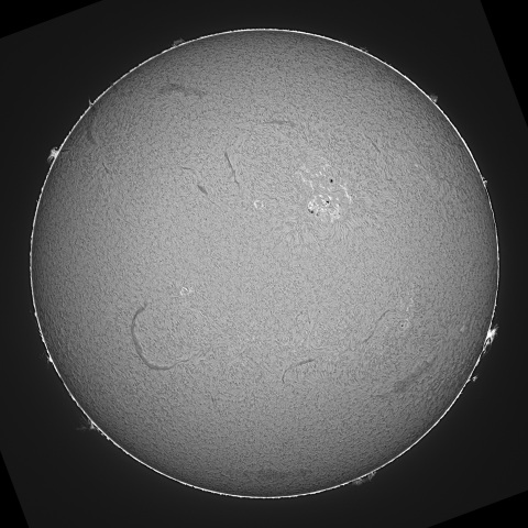 20230517の太陽　Hα線画像