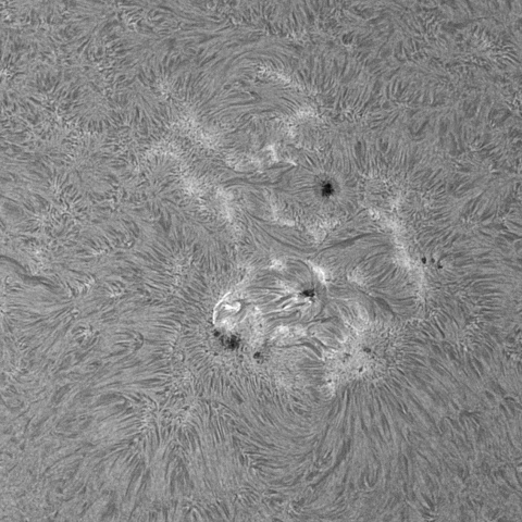 20230517の太陽　Hα線画像