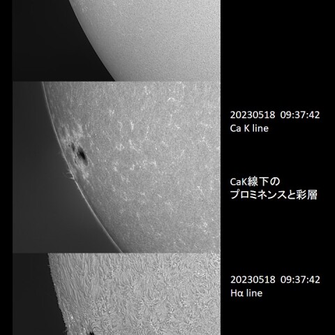 20230518の太陽　黒点(3310)群